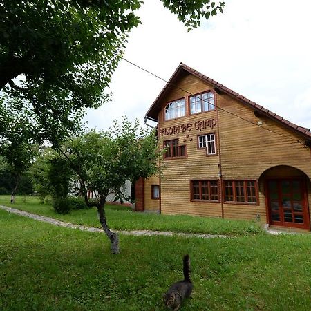 Pensiunea Flori De Camp Ватра Дорней Екстериор снимка