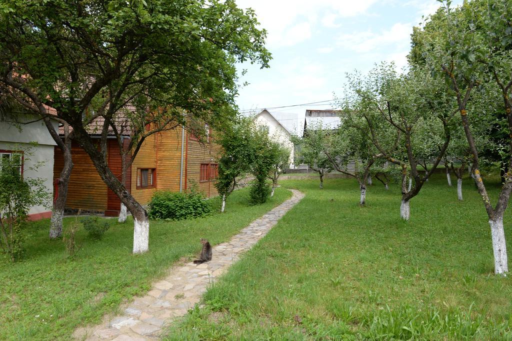 Pensiunea Flori De Camp Ватра Дорней Екстериор снимка