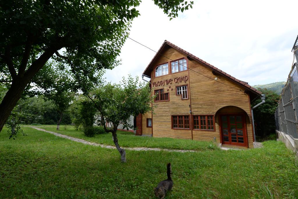 Pensiunea Flori De Camp Ватра Дорней Екстериор снимка