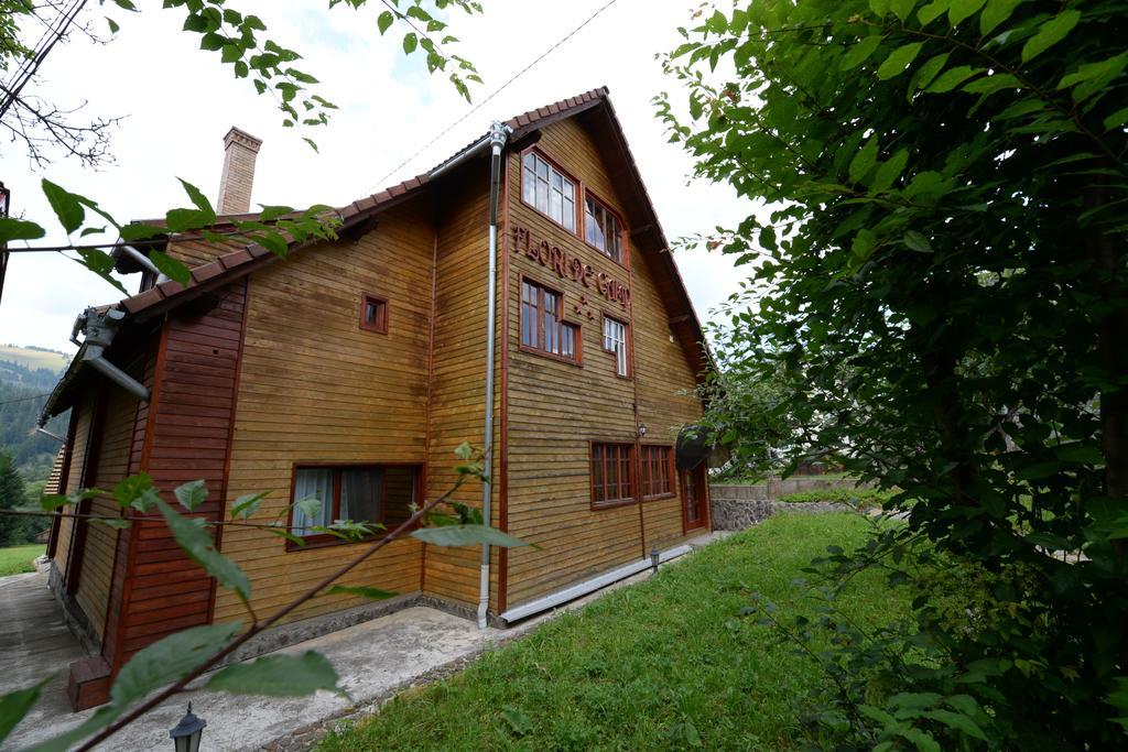 Pensiunea Flori De Camp Ватра Дорней Екстериор снимка