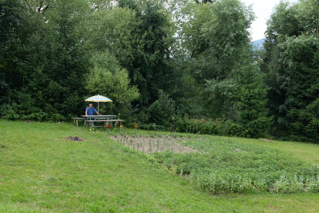 Pensiunea Flori De Camp Ватра Дорней Екстериор снимка