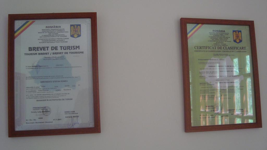 Pensiunea Flori De Camp Ватра Дорней Стая снимка