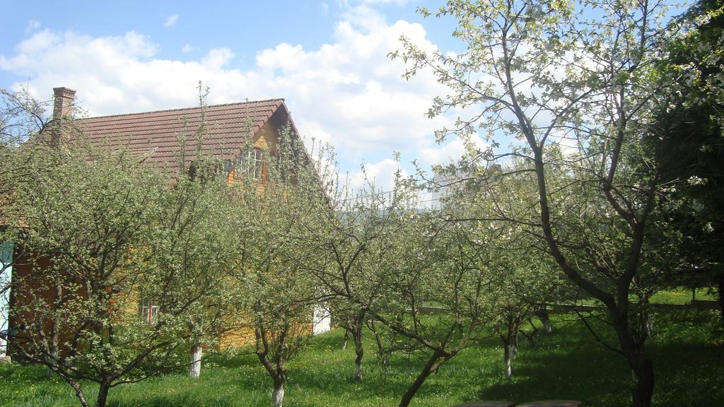 Pensiunea Flori De Camp Ватра Дорней Екстериор снимка