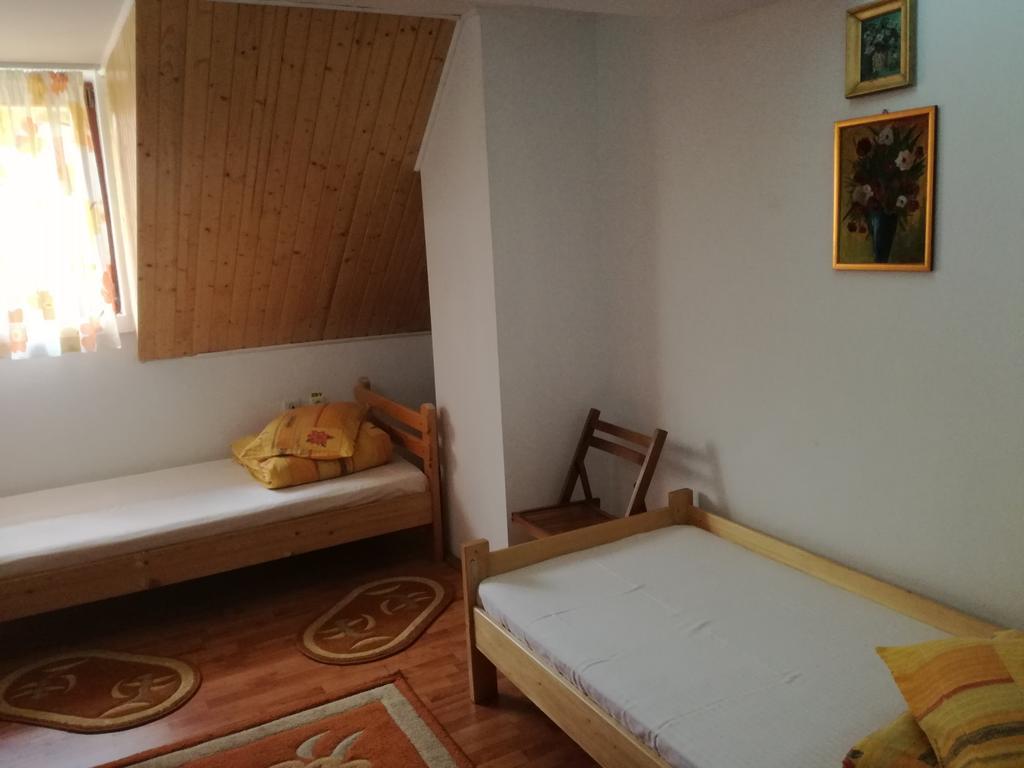 Pensiunea Flori De Camp Ватра Дорней Екстериор снимка
