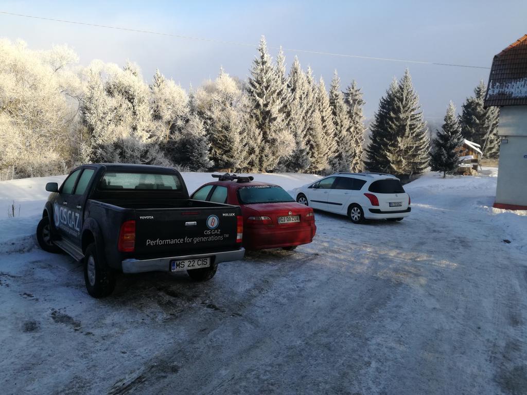 Pensiunea Flori De Camp Ватра Дорней Екстериор снимка