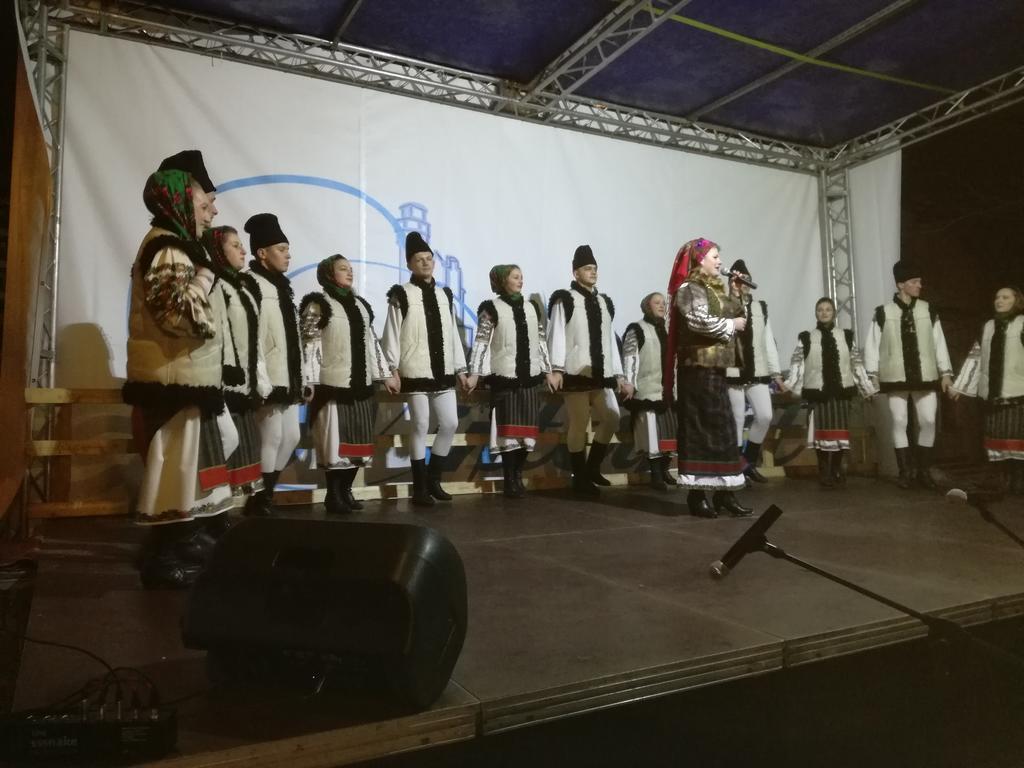 Pensiunea Flori De Camp Ватра Дорней Екстериор снимка